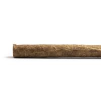 Chevron Corona Larga Cigar - 1 Single